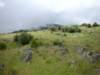 newzealandgoldenbay3_small.jpg
