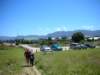 newzealandgoldenbaycollingwood2_small.jpg