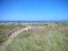 newzealandgoldenbaycollingwood3_small.jpg
