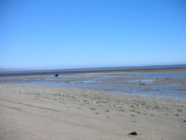 newzealandgoldenbaycollingwood5.jpg