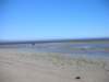 newzealandgoldenbaycollingwood5_small.jpg