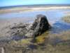newzealandgoldenbaycollingwood8_small.jpg