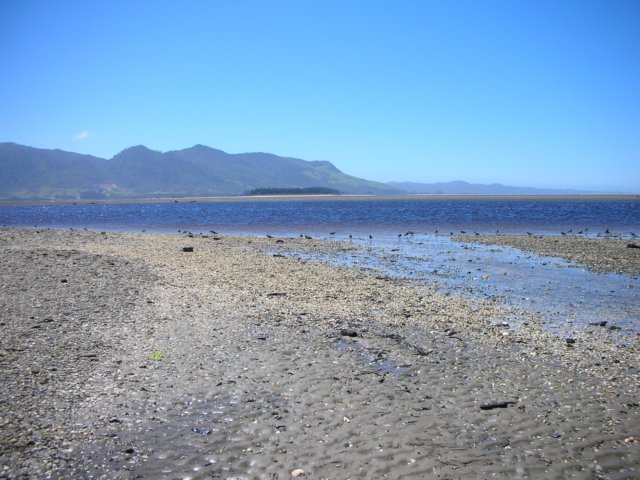 newzealandgoldenbaycollingwood9.jpg