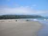 newzealandgoldenbaykingsesplanade4_small.jpg