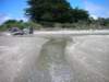 newzealandgoldenbaykingsesplanade8_small.jpg
