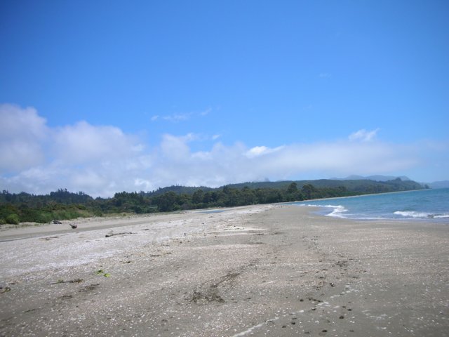 newzealandgoldenbaykingsesplanade9.jpg