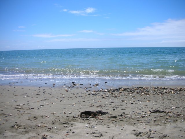 newzealandgoldenbaykingsesplanadereserve10.jpg