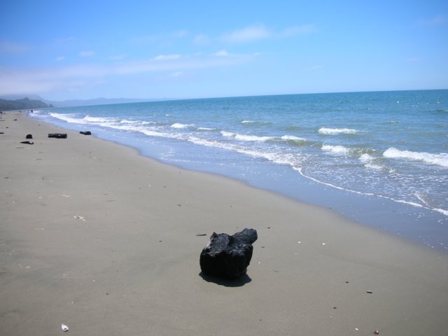 newzealandgoldenbaykingsesplanadereserve12.jpg