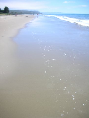 newzealandgoldenbaykingsesplanadereserve15.jpg