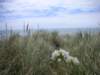 newzealandgoldenbaykingsesplanadereserve6_small.jpg