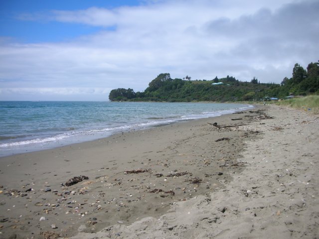 newzealandgoldenbaykingsesplanadereserve9.jpg