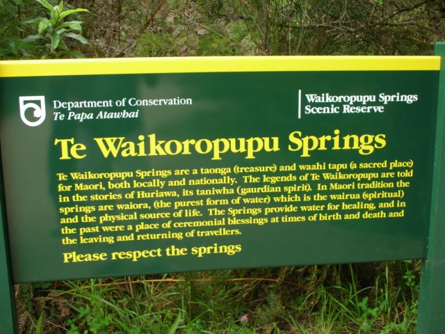 newzealandgoldenbaytewaikorupupusprings.jpg