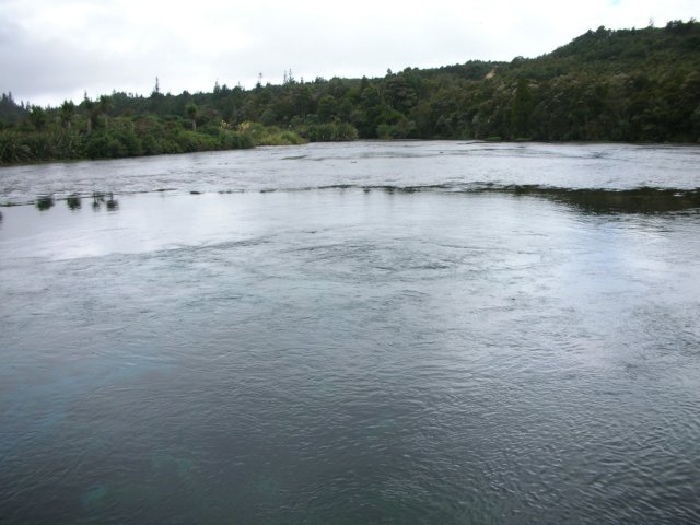 newzealandgoldenbaytewaikorupupusprings17.jpg