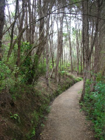 newzealandgoldenbaytewaikorupupusprings2.jpg