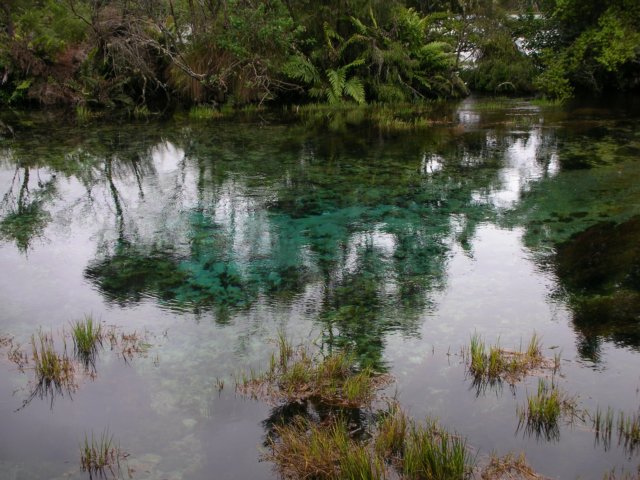 newzealandgoldenbaytewaikorupupusprings23.jpg