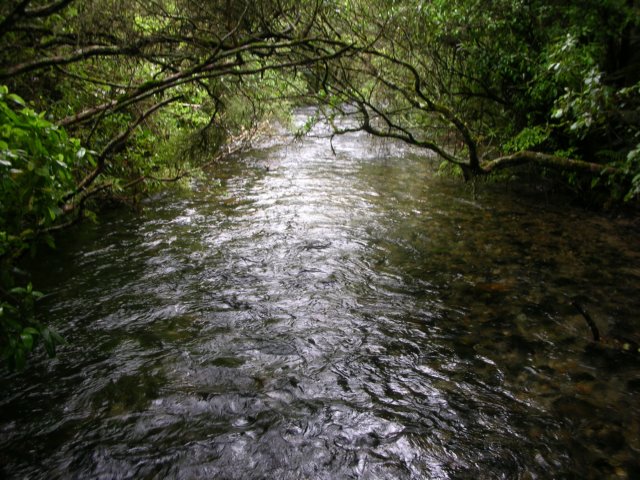 newzealandgoldenbaytewaikorupupusprings9.jpg