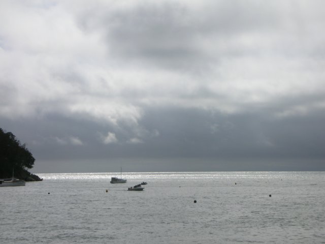 newzealandkaiteriteriabeltasmannationalpark5.jpg