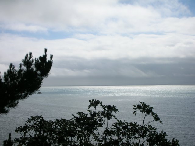 newzealandkaiteriteriabeltasmannationalpark7.jpg
