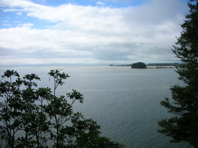 newzealandkaiteriteriabeltasmannationalpark9.jpg