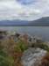newzealandlakebrunner18_small.jpg