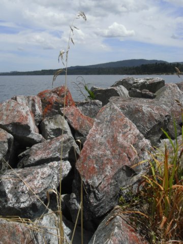 newzealandlakebrunner19.jpg
