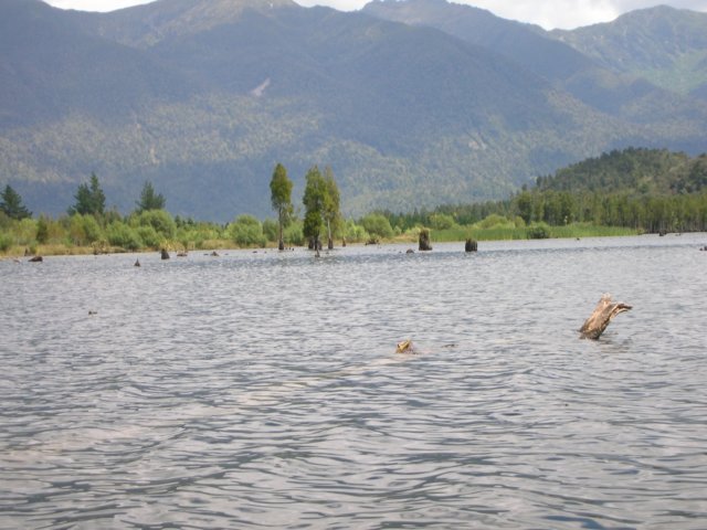 newzealandlakebrunner3.jpg