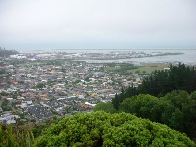 newzealandnelsonbotanicalreserve10.jpg