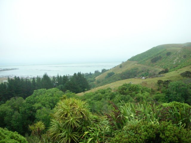 newzealandnelsonbotanicalreserve11.jpg