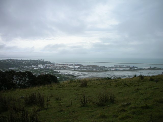 newzealandnelsonbotanicalreserve19.jpg