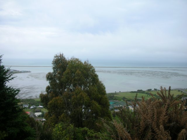 newzealandnelsonbotanicalreserve20.jpg