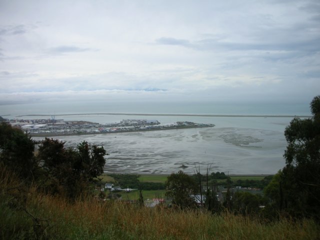 newzealandnelsonbotanicalreserve21.jpg