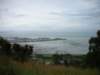 newzealandnelsonbotanicalreserve21_small.jpg