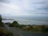 newzealandnelsonbotanicalreserve22_small.jpg