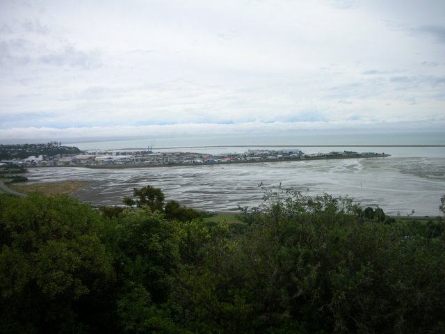 newzealandnelsonbotanicalreserve24.jpg