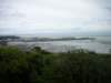newzealandnelsonbotanicalreserve24_small.jpg