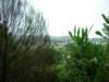 newzealandnelsonbotanicalreserve2_small.jpg