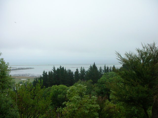 newzealandnelsonbotanicalreserve9.jpg