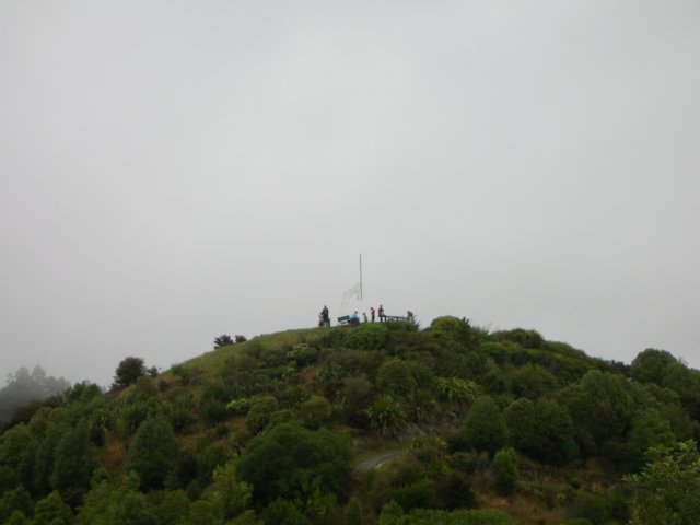newzealandnelsonbotanicalreservecentreofnewzealand7.jpg