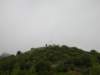 newzealandnelsonbotanicalreservecentreofnewzealand7_small.jpg