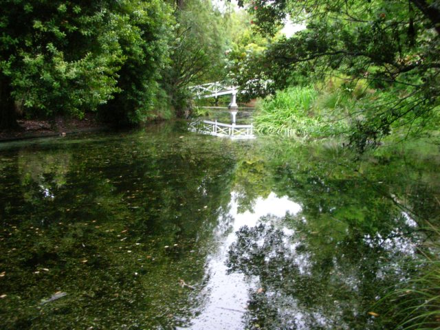 newzealandnelsonqueensgarden14.jpg