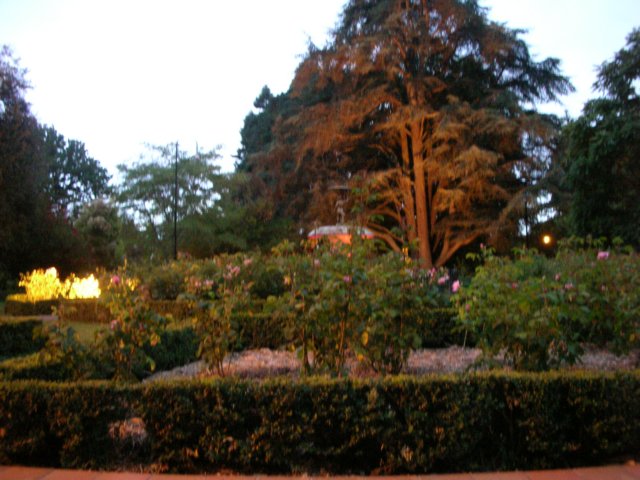 newzealandnelsonqueensgarden29.jpg