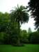 newzealandnelsonqueensgarden_small.jpg