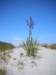 newzealandokaritobeach29_small.jpg
