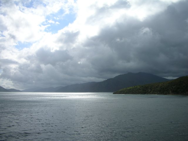 newzealandpictontowellington7.jpg
