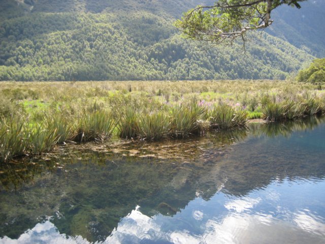 gnewzealandbackfrommilfordsoundmirrorlake.jpg