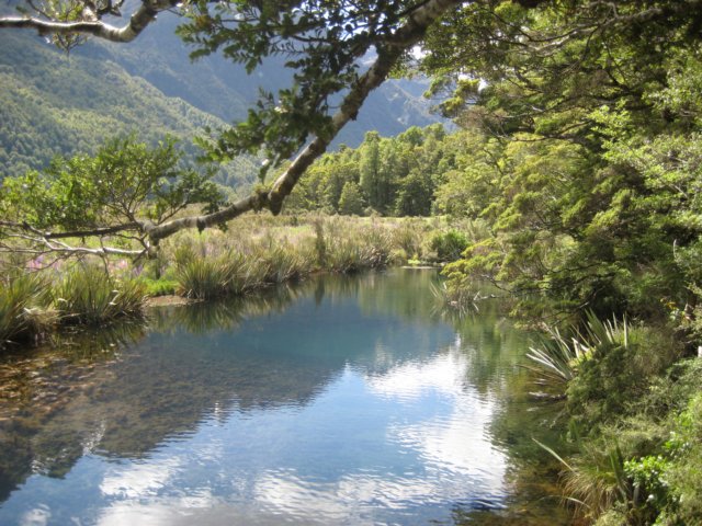 hnewzealandbackfrommilfordsoundmirrorlake.jpg