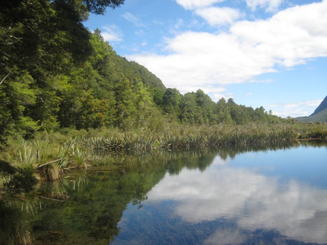 lnewzealandbackfrommilfordsoundmirrorlake.jpg