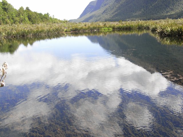 newzealandbackfrommilfordsoundmirrorlake10.jpg