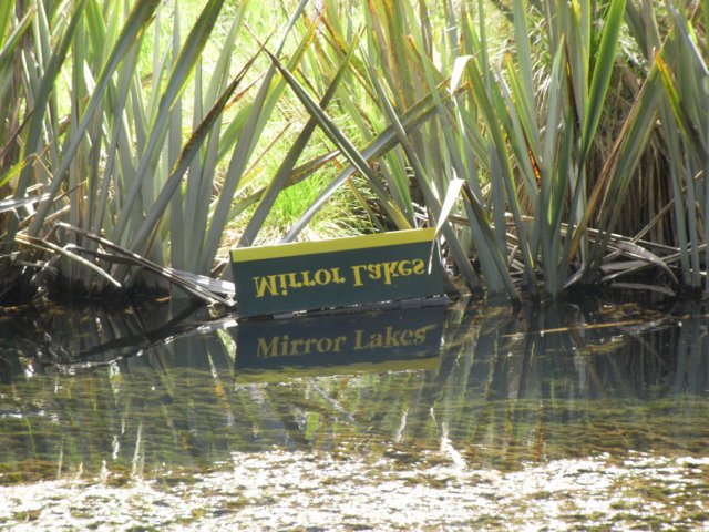 newzealandbackfrommilfordsoundmirrorlake11.jpg