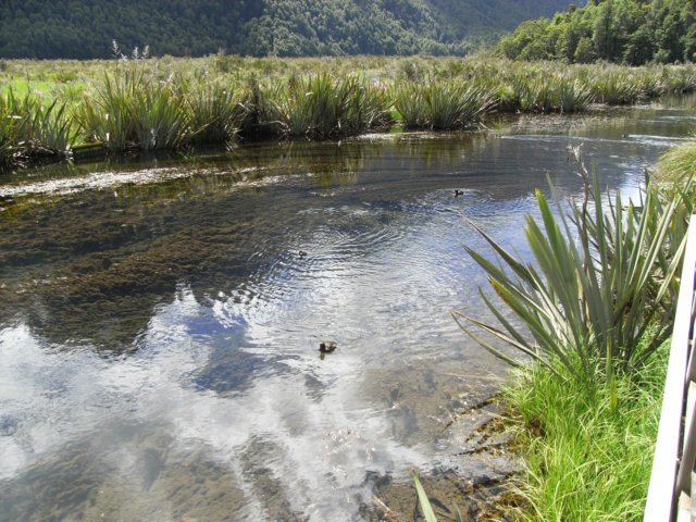 newzealandbackfrommilfordsoundmirrorlake13.jpg